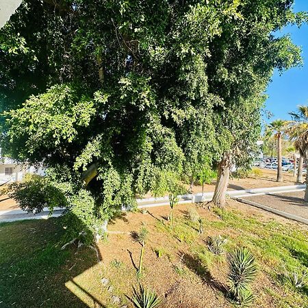 Apartamento Eureka 德尔锡伦西奥海岸 外观 照片